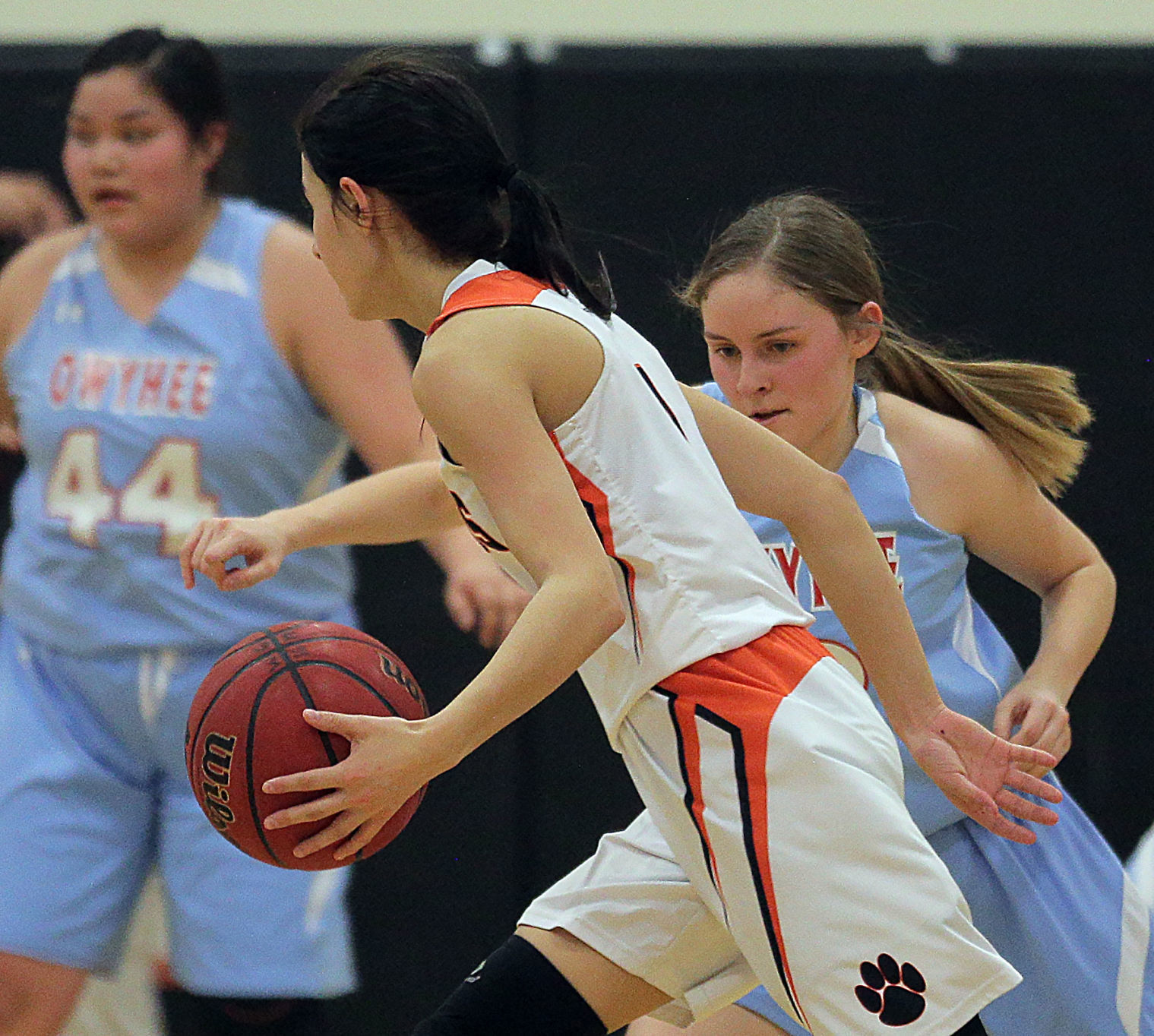 Owyhee at Wells Girls Basketball (51).jpg